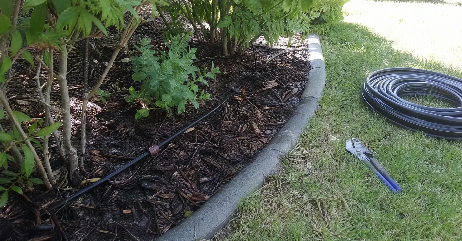 Drip Irrigation Installation in Roseville, CA