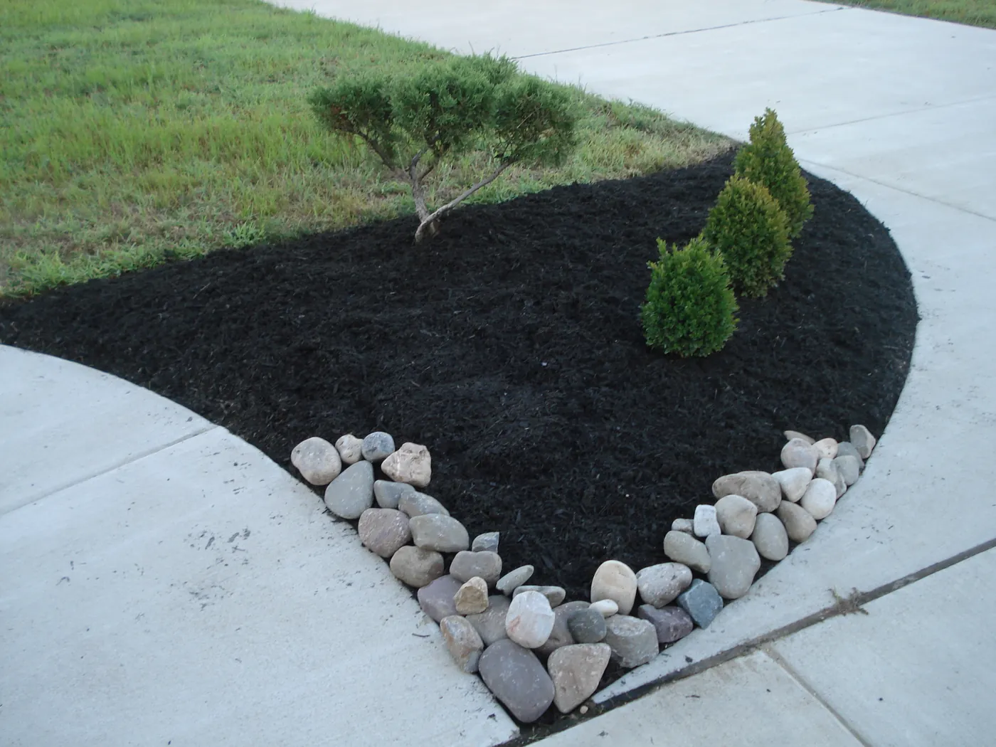 Young shrubs in a fresh mulch bed edged with river rock beside a concrete walkway