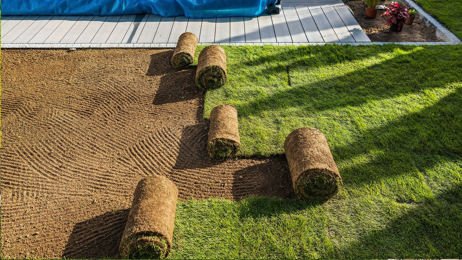 Rolls of sod set out on raked soil beside a strip of freshly laid lawn