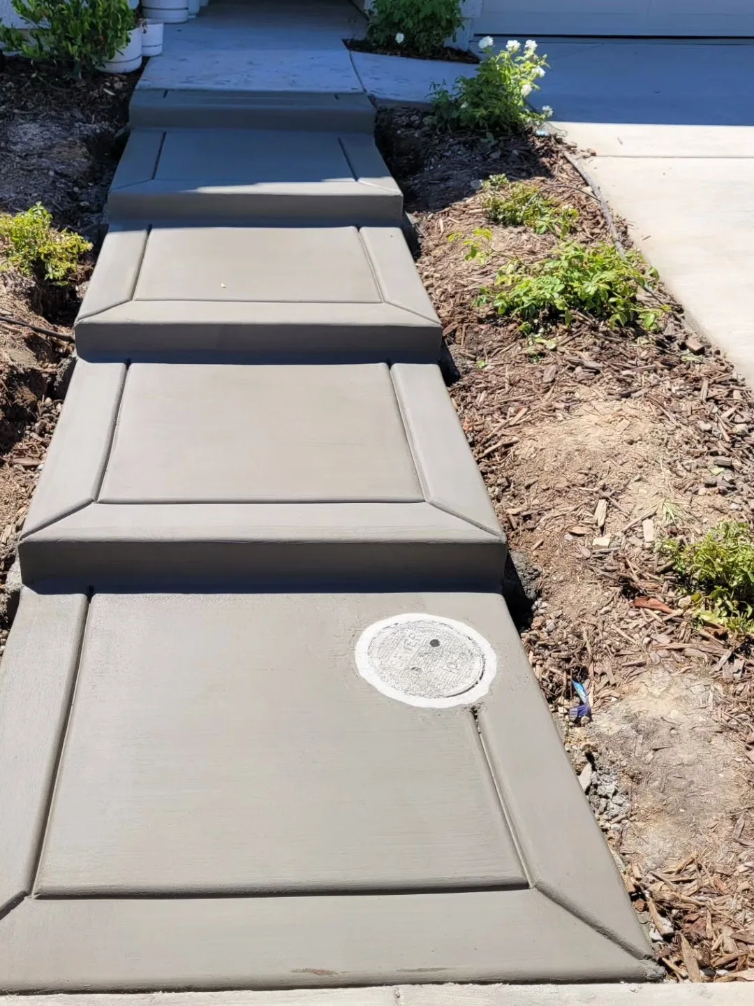 Concrete front walkway with wide shallow steps between mulch beds and a flush utility box set into the pour